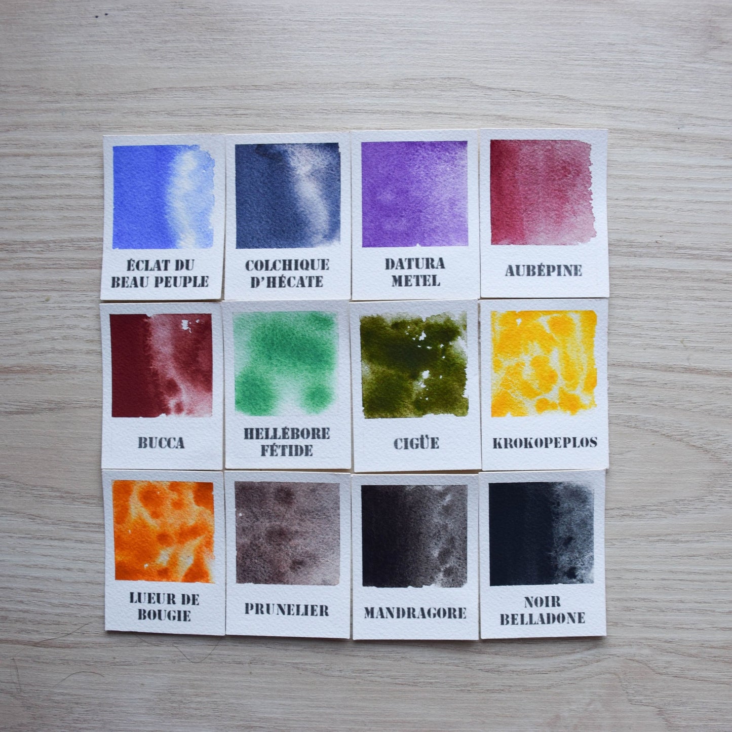 Le Sentier des Sorcières  - Collection prestige 12 couleurs - Série 2