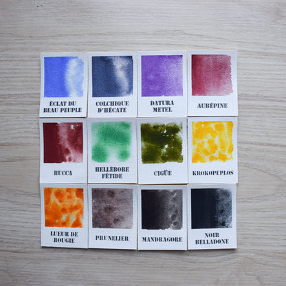 Le Sentier des Sorcières  - Collection prestige 12 couleurs - Série 2