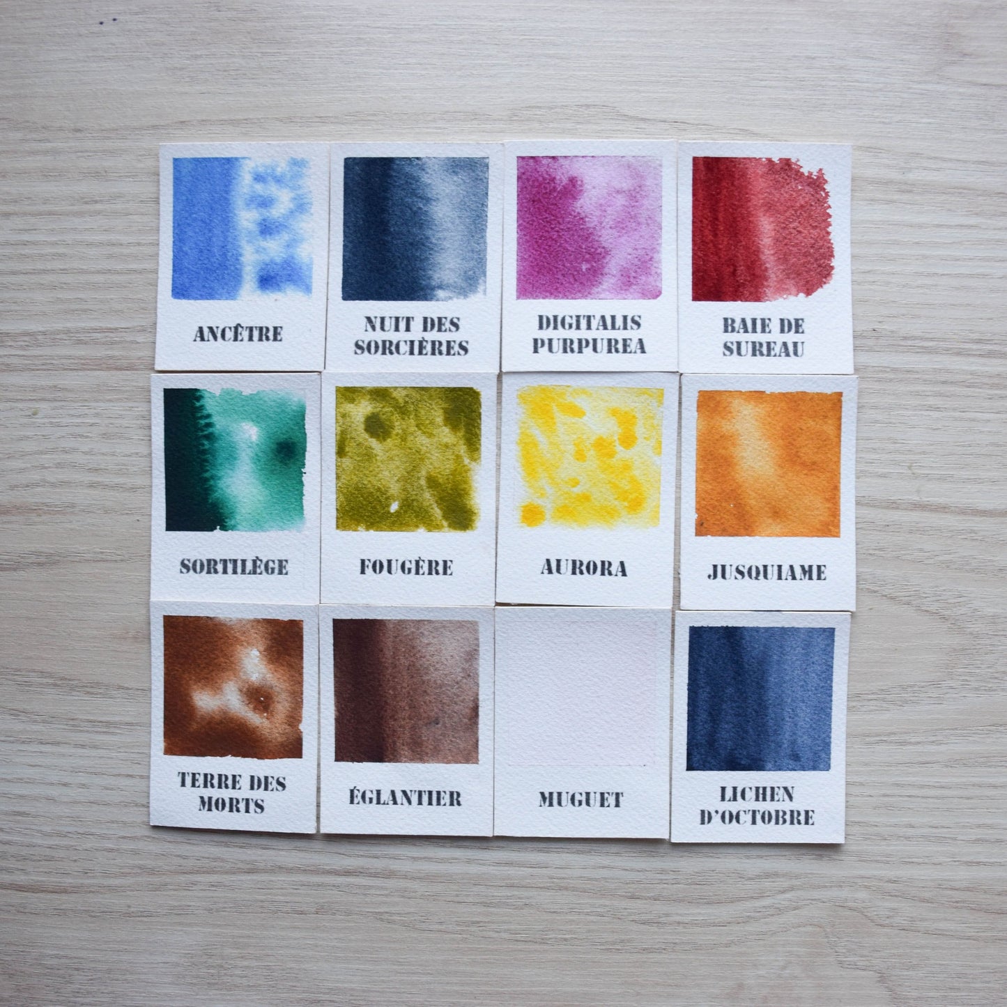 Le Sentier des Sorcières - Collection prestige 12 couleurs - Série 1