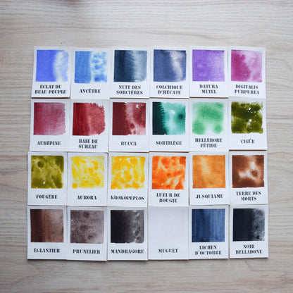 Le Sentier des Sorcières - Collection Prestige 24 couleurs