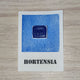 Hortensia "Écho chromatique" Aquarelle Artisanale Végane Éco-responsable et Solidaire