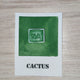 Cactus "Écho chromatique" Aquarelle Artisanale Végane Éco-responsable et Solidaire