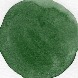 Jungle - "12 Nuances d’Aquarelle – Série 1" - Aquarelle Artisanale Végane